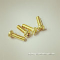 Dongguan High Precision Brass Machine Screws